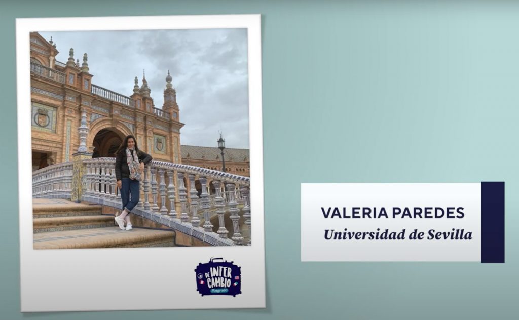 WhatsApp Image 2024-09-13 at 7.38.43 PM